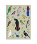 A5 Notebook | Iconic Birds of Australia | Blank
